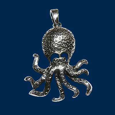 Octopus medium, detailliert