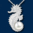 Set: Seepferdchen groß mit Süßwasser Perle